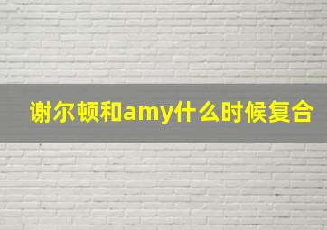 谢尔顿和amy什么时候复合