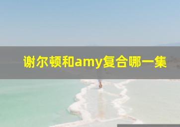 谢尔顿和amy复合哪一集