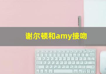 谢尔顿和amy接吻