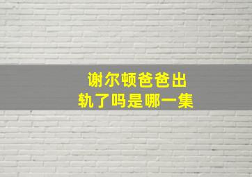 谢尔顿爸爸出轨了吗是哪一集