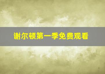 谢尔顿第一季免费观看