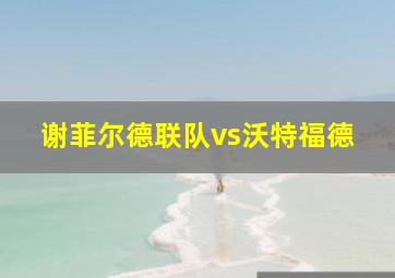 谢菲尔德联队vs沃特福德