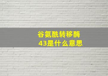 谷氨酰转移酶43是什么意思