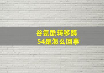 谷氨酰转移酶54是怎么回事