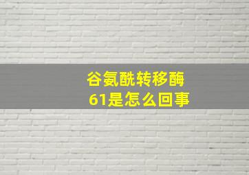 谷氨酰转移酶61是怎么回事