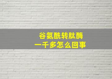 谷氨酰转肽酶一千多怎么回事