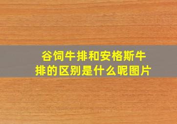 谷饲牛排和安格斯牛排的区别是什么呢图片