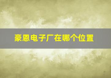 豪恩电子厂在哪个位置