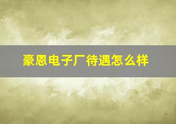 豪恩电子厂待遇怎么样