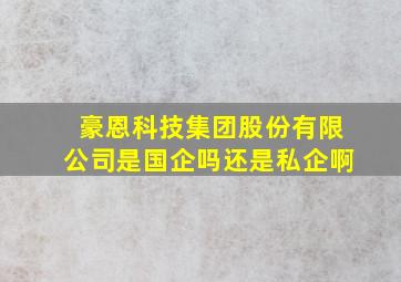 豪恩科技集团股份有限公司是国企吗还是私企啊