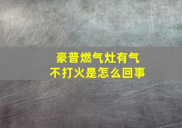 豪普燃气灶有气不打火是怎么回事