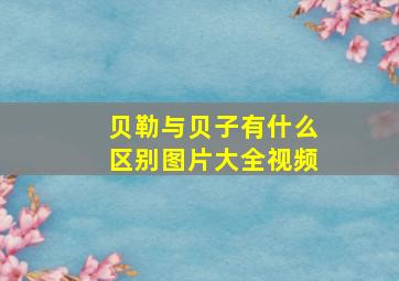 贝勒与贝子有什么区别图片大全视频