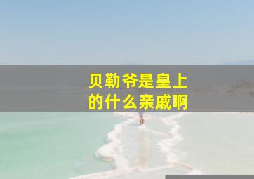 贝勒爷是皇上的什么亲戚啊