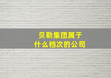 贝勒集团属于什么档次的公司