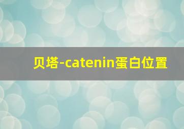 贝塔-catenin蛋白位置