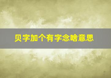 贝字加个有字念啥意思