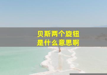 贝斯两个旋钮是什么意思啊