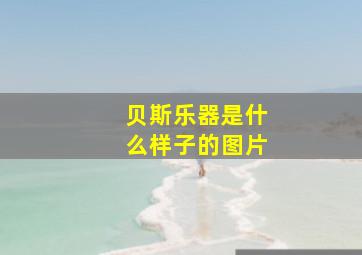 贝斯乐器是什么样子的图片