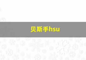 贝斯手hsu