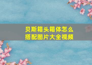 贝斯箱头箱体怎么搭配图片大全视频