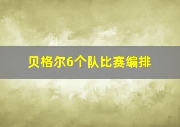 贝格尔6个队比赛编排