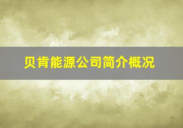 贝肯能源公司简介概况