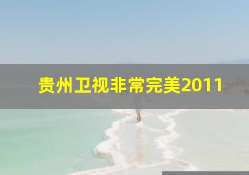 贵州卫视非常完美2011