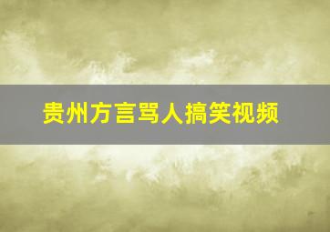 贵州方言骂人搞笑视频