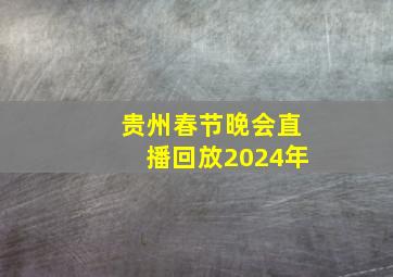 贵州春节晚会直播回放2024年