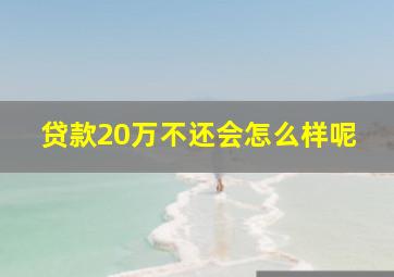 贷款20万不还会怎么样呢