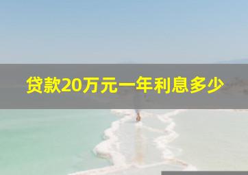 贷款20万元一年利息多少