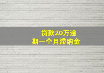 贷款20万逾期一个月滞纳金