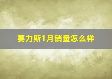 赛力斯1月销量怎么样