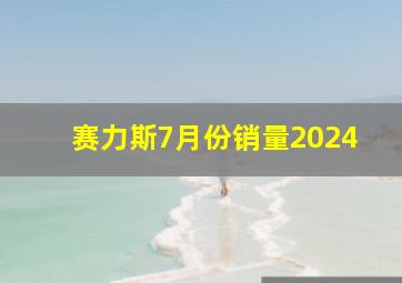 赛力斯7月份销量2024