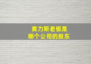 赛力斯老板是哪个公司的股东