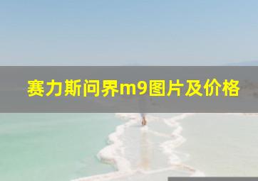 赛力斯问界m9图片及价格