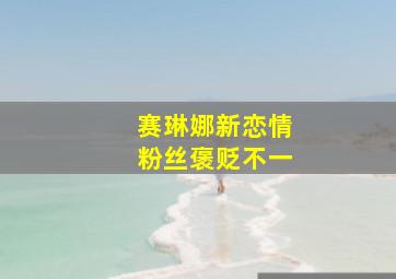 赛琳娜新恋情粉丝褒贬不一