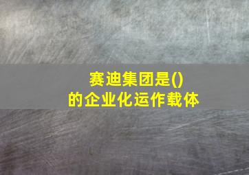 赛迪集团是()的企业化运作载体