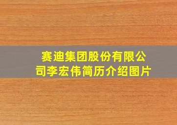 赛迪集团股份有限公司李宏伟简历介绍图片