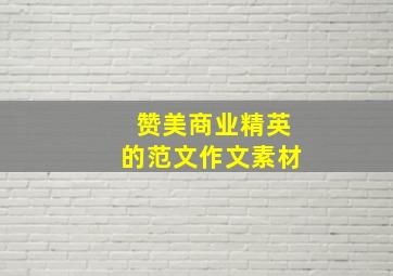 赞美商业精英的范文作文素材