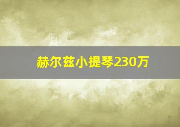 赫尔兹小提琴230万