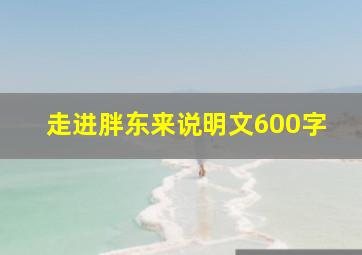 走进胖东来说明文600字