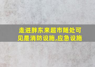 走进胖东来超市随处可见是消防设施,应急设施