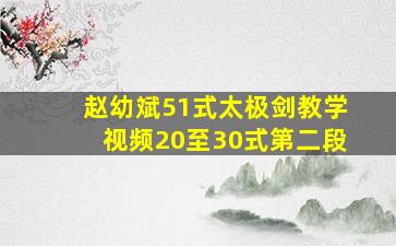 赵幼斌51式太极剑教学视频20至30式第二段