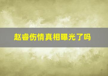 赵睿伤情真相曝光了吗