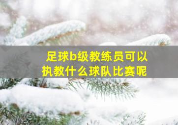 足球b级教练员可以执教什么球队比赛呢