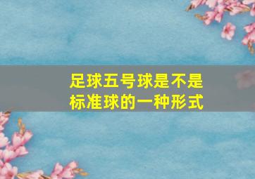 足球五号球是不是标准球的一种形式