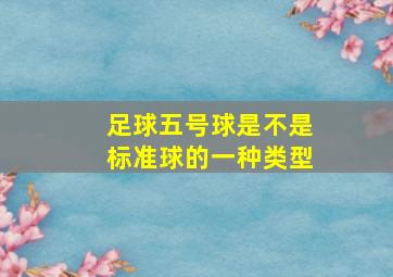 足球五号球是不是标准球的一种类型