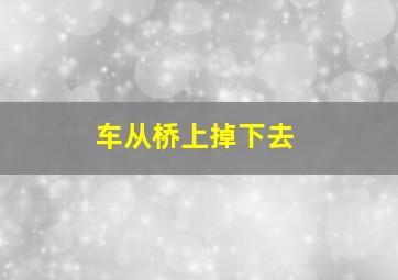 车从桥上掉下去