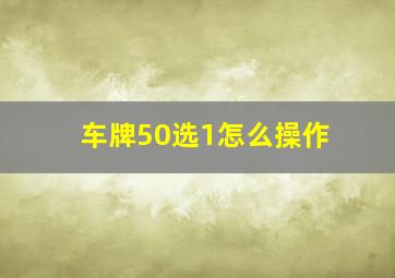 车牌50选1怎么操作